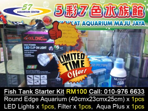 Fish Tank Starter Kit RM100 only